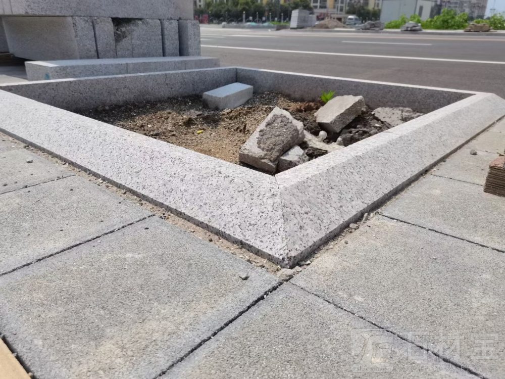 树坑石