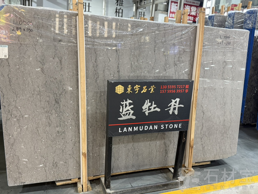 蓝牡丹