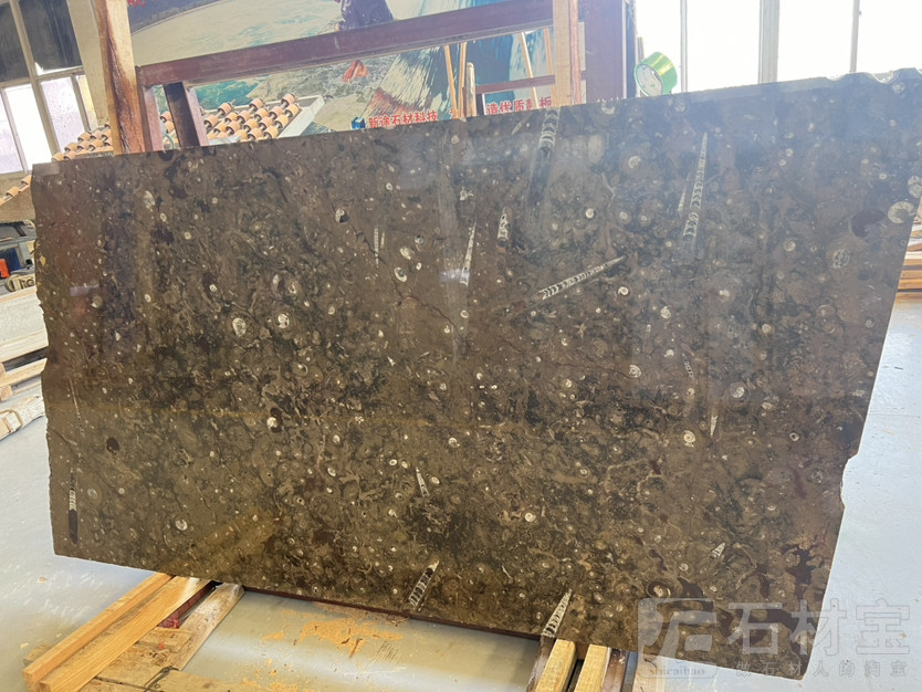 沧海侏罗