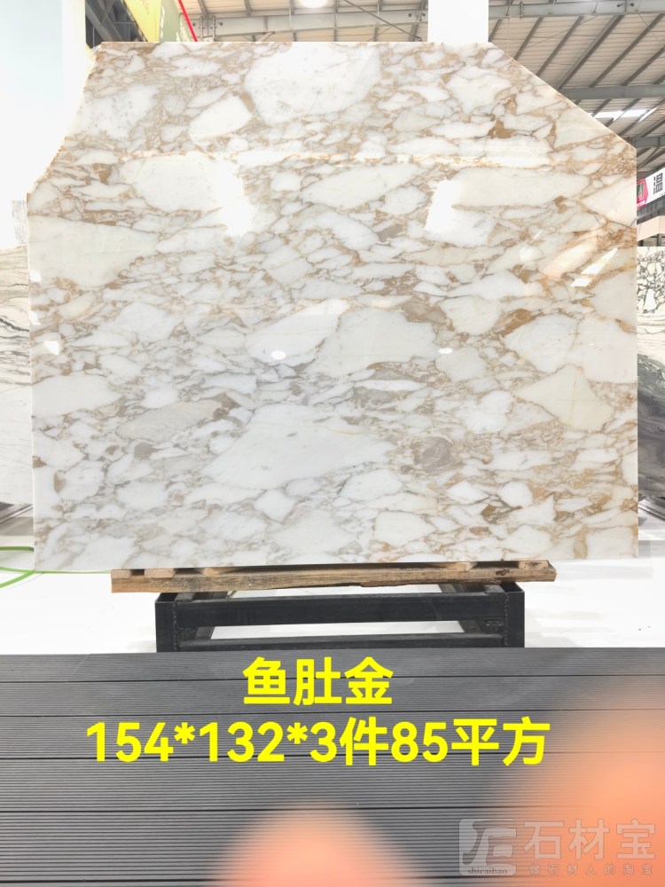 意大利鱼肚金