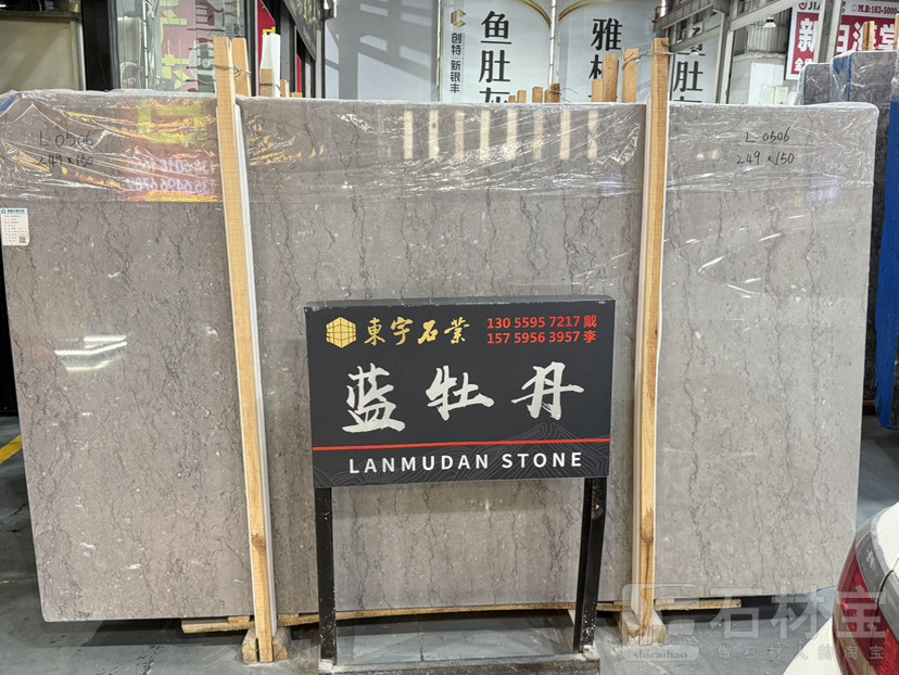 蓝牡丹