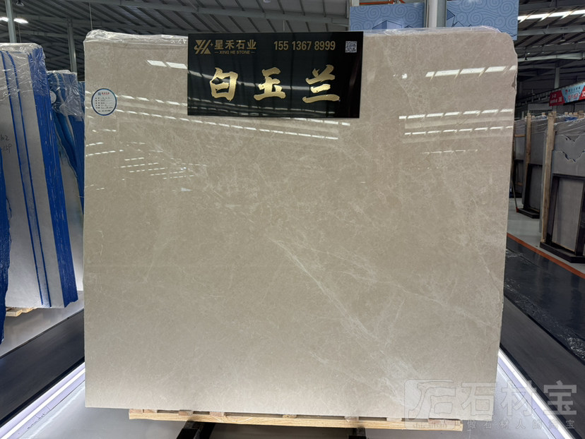 白玉兰