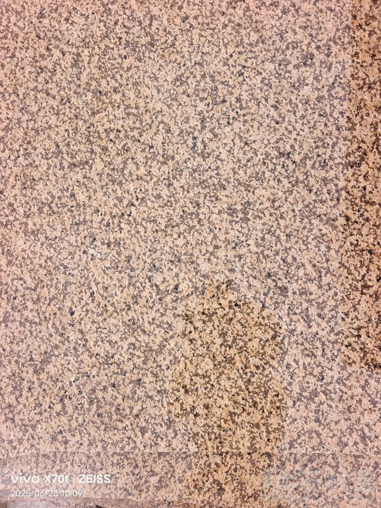 主营：新疆红/天山红/鄯善红/卡拉金麦/卡拉麦里金/棕钻/咖 啡钻 /世纪雅钻