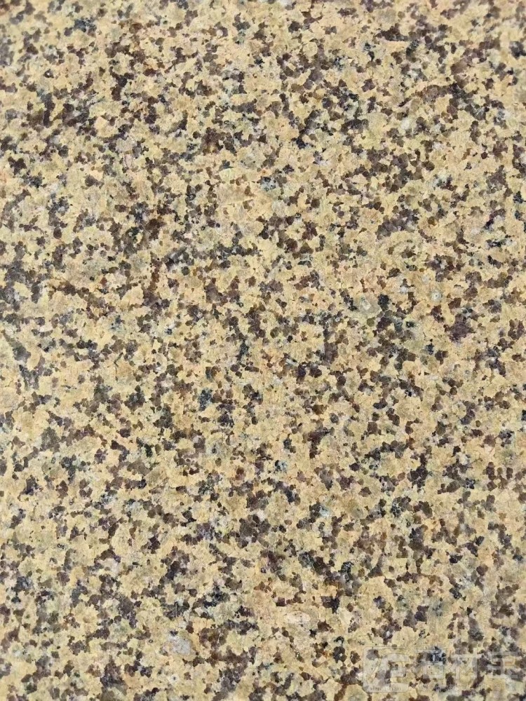 主营：新疆红/天山红/鄯善红/卡拉金麦/卡拉麦里金/棕钻/咖 啡钻 /世纪雅钻