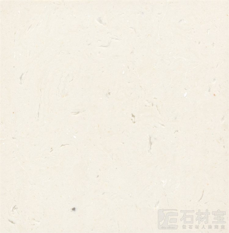 超级白玉兰Super white magnolia