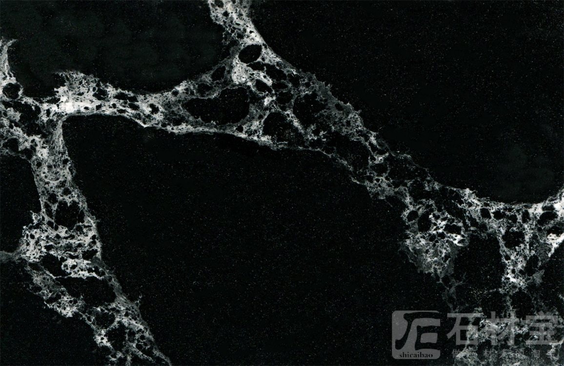 黑玫瑰Black Rose