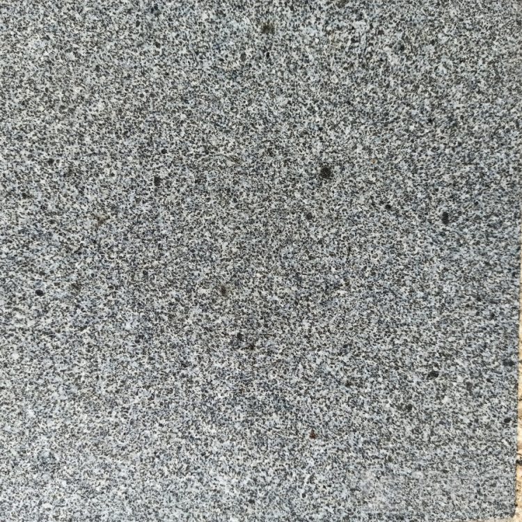 山东芝麻黑(章丘黑)