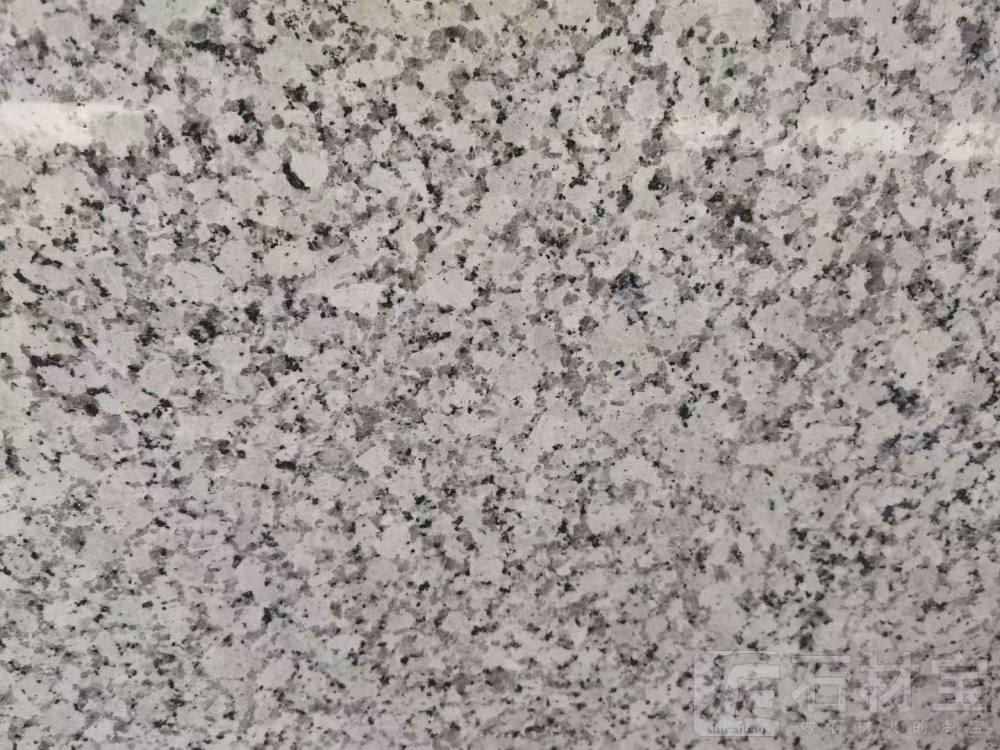芭拉白