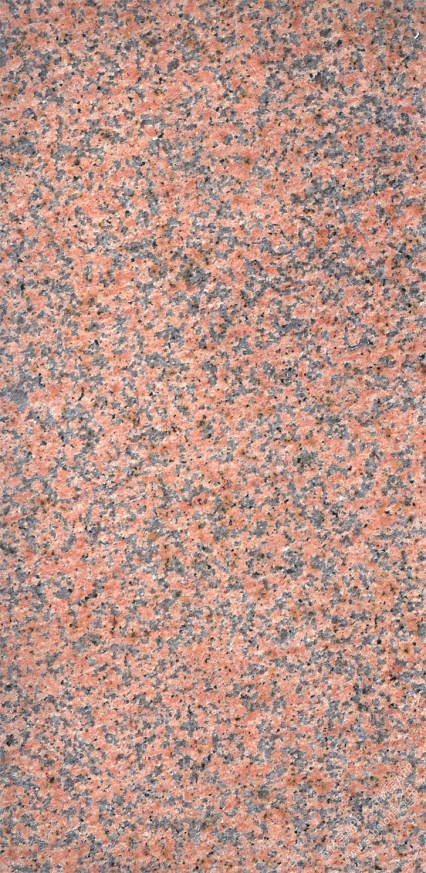 天山红B