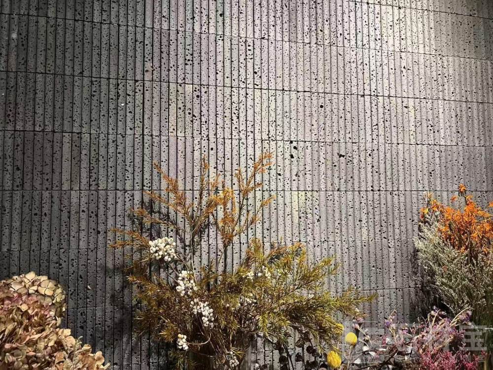 海南黑案例