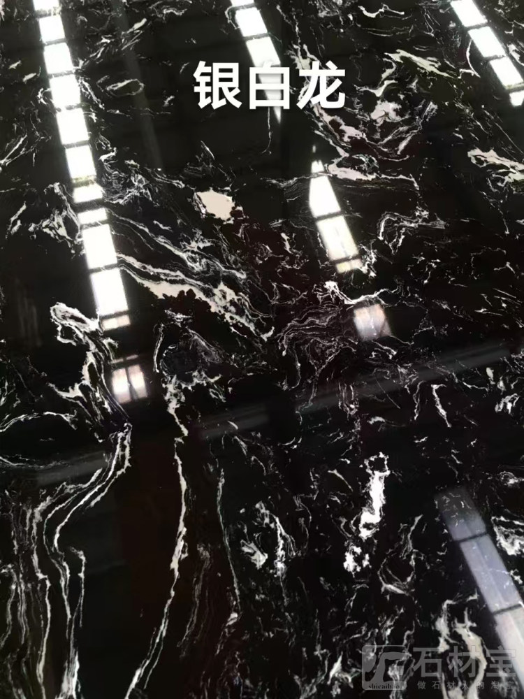 银白龙