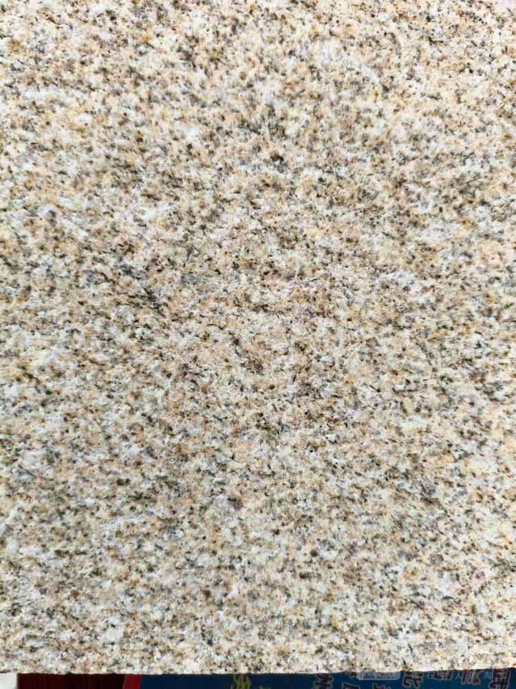 山东黄金麻荔枝面