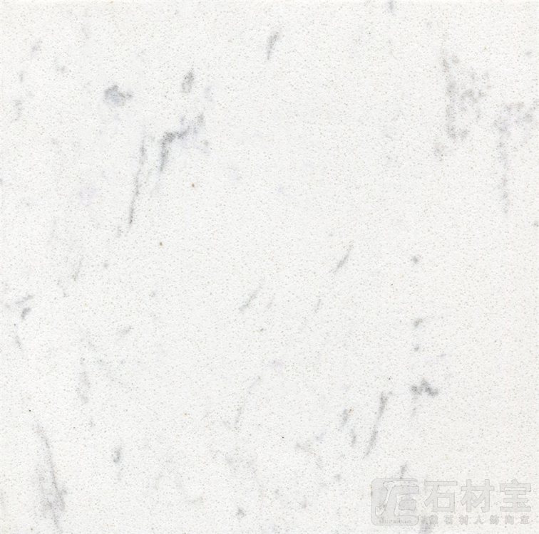 中花白Medium Flower White