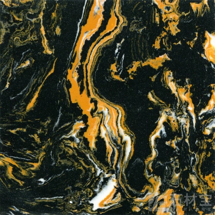 黑金花Black Gold Flower