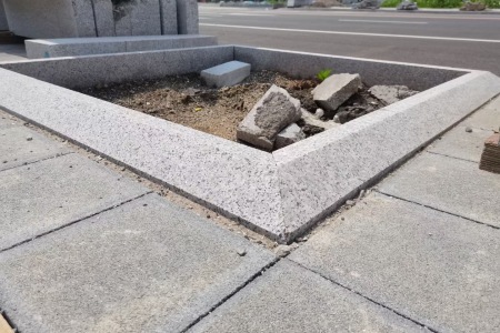树坑石