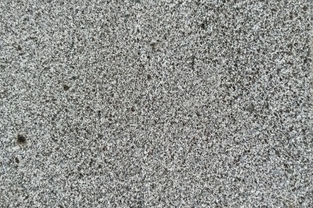 山东芝麻黑(章丘黑)