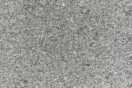 山东芝麻黑(章丘黑)