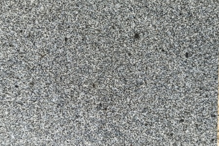 山东芝麻黑(章丘黑)
