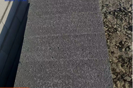 中国黑荔枝面