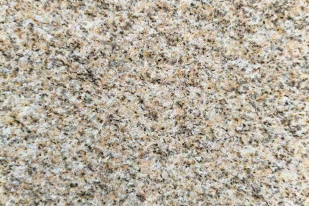 山东黄金麻荔枝面