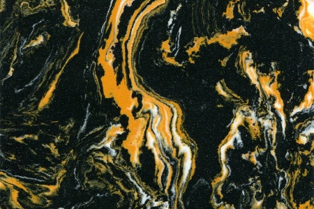 黑金花Black Gold Flower