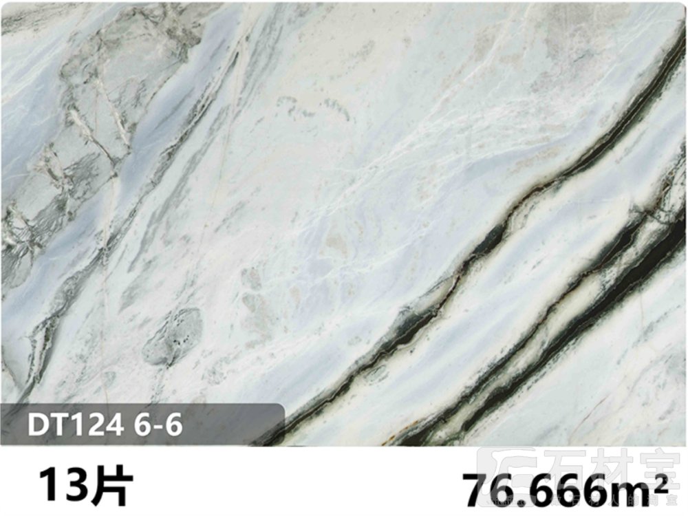 熊猫白 DT124 6-6