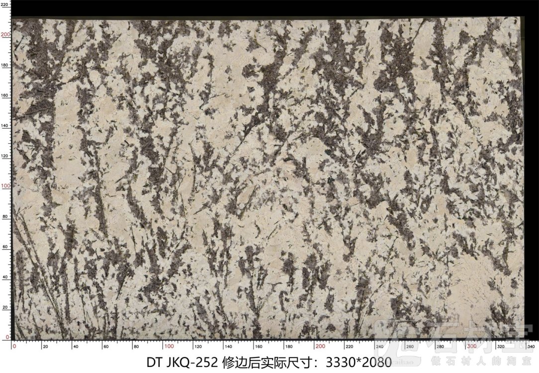 金孔雀 JKQ-252
