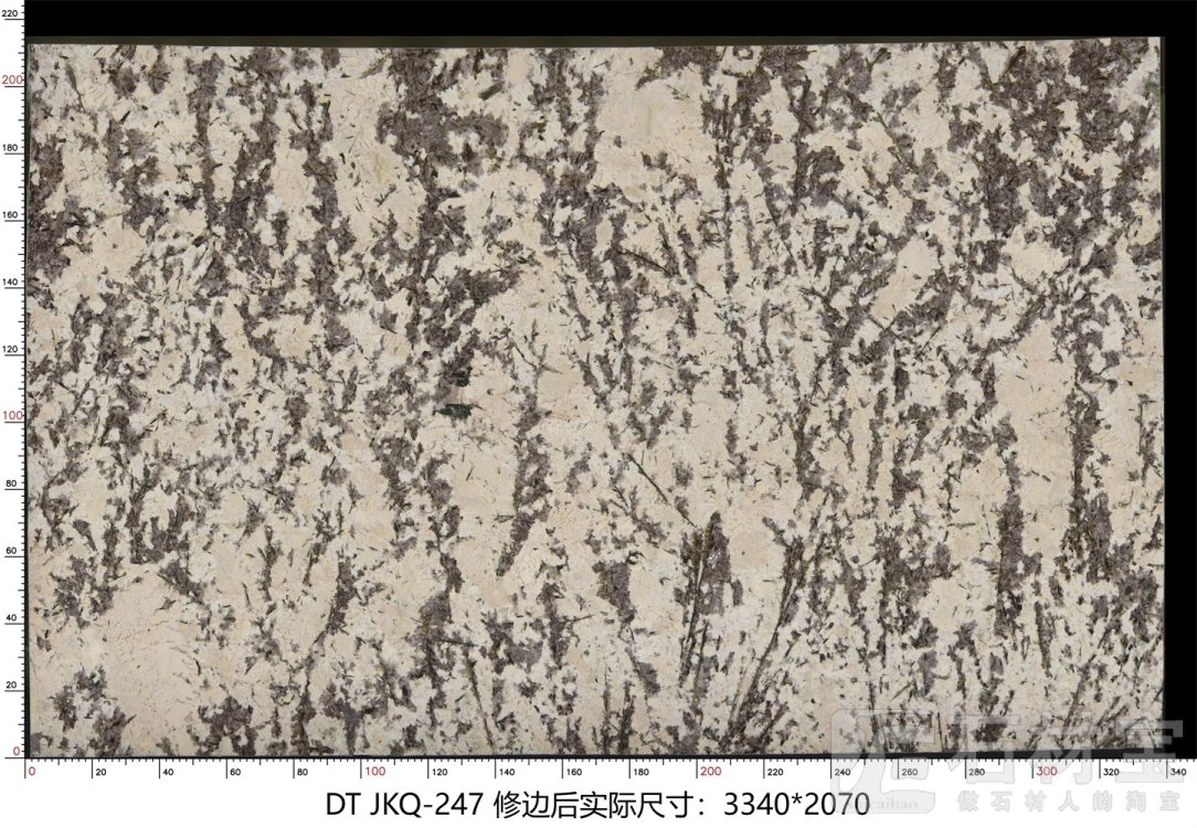 金孔雀 JKQ-247