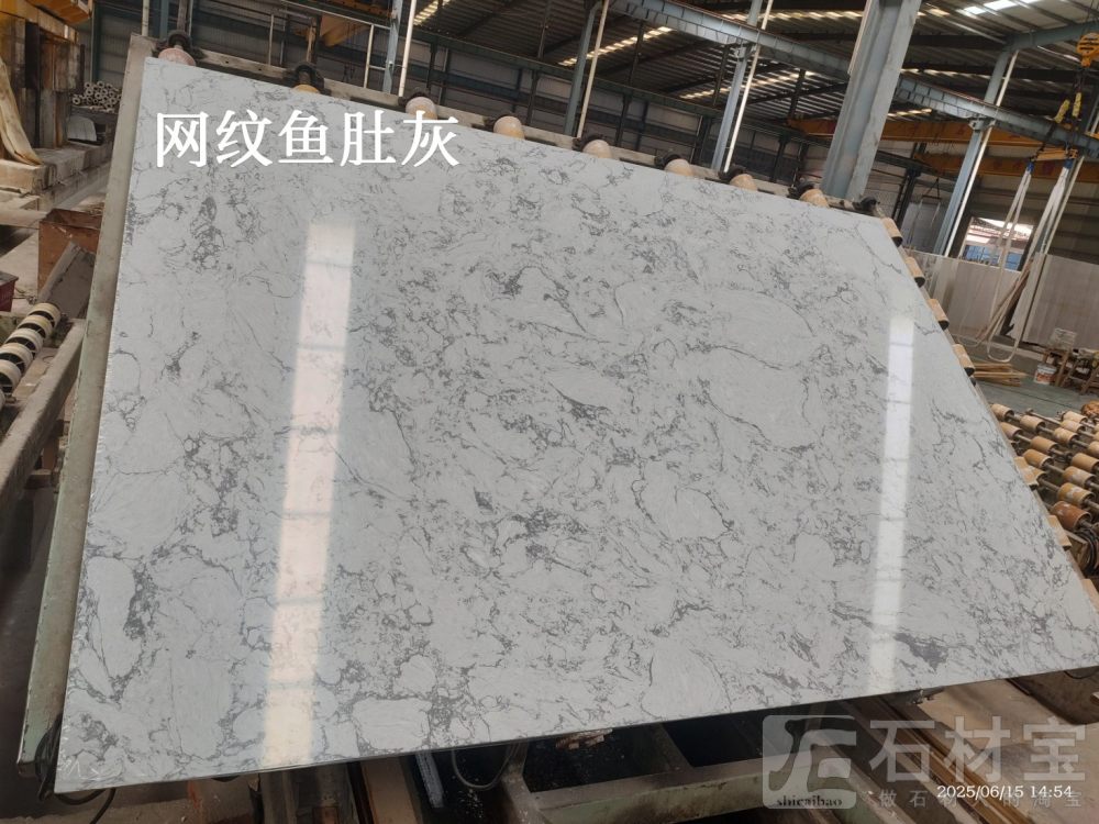 网纹鱼肚灰