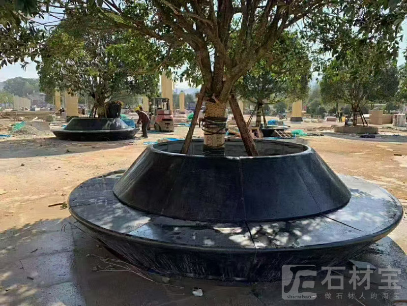 湛江黑树围石