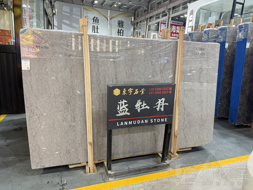 蓝牡丹