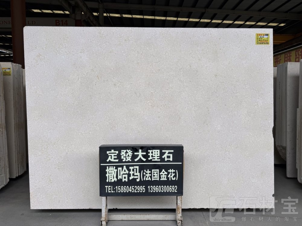 撒哈玛(法国金花)