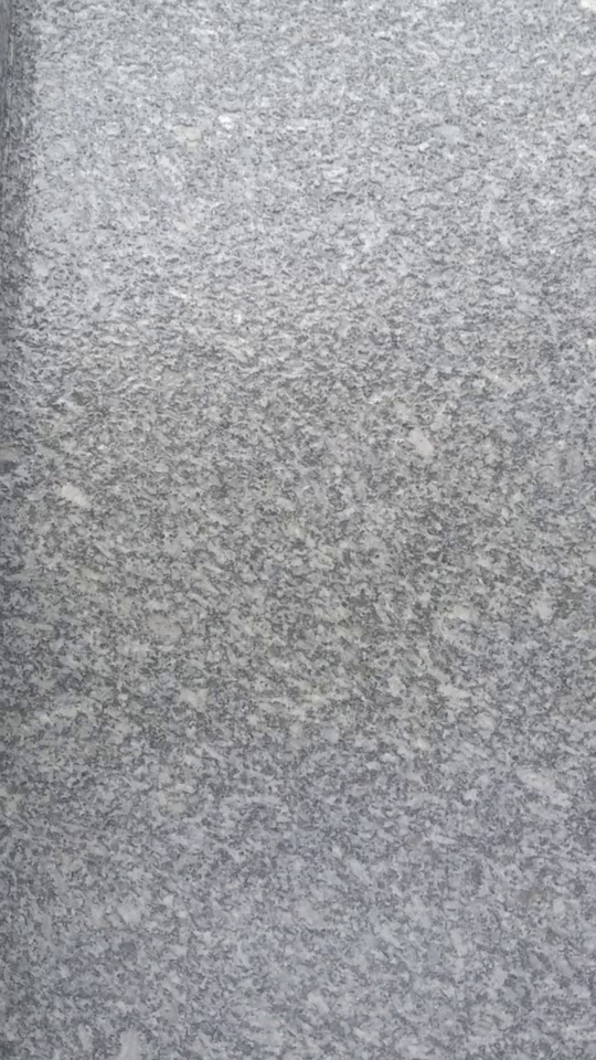 廉江芝麻白异型成品