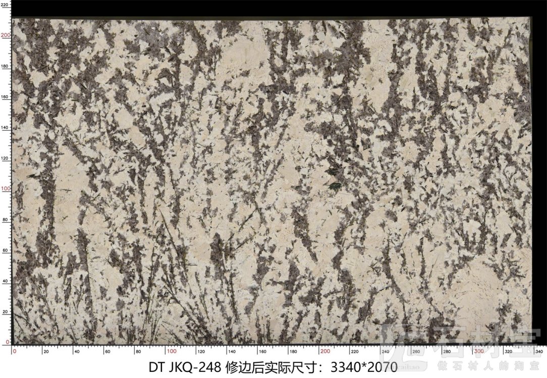 金孔雀 JKQ-248