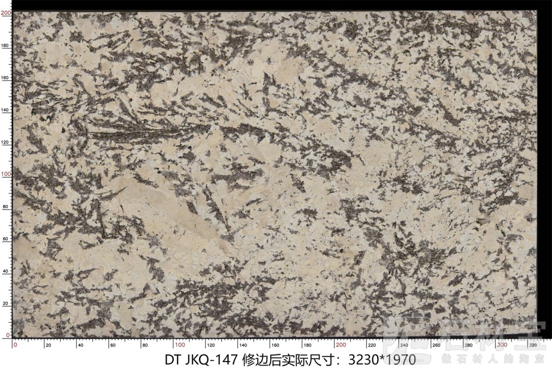 金孔雀 JKQ-147