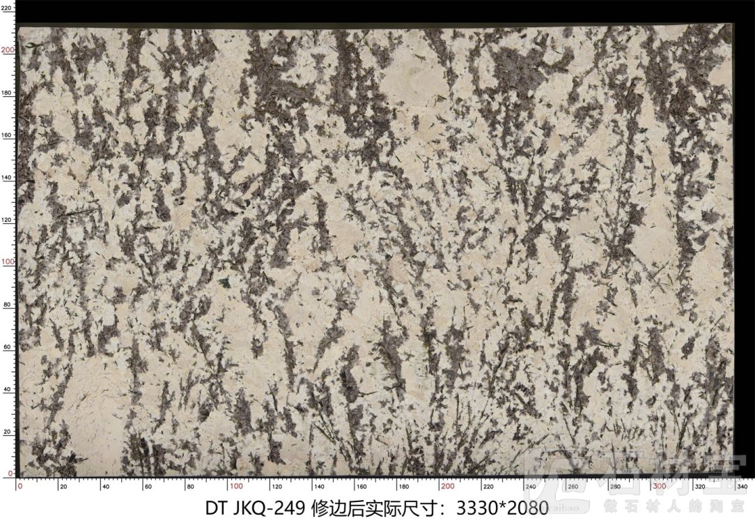 金孔雀 JKQ-249