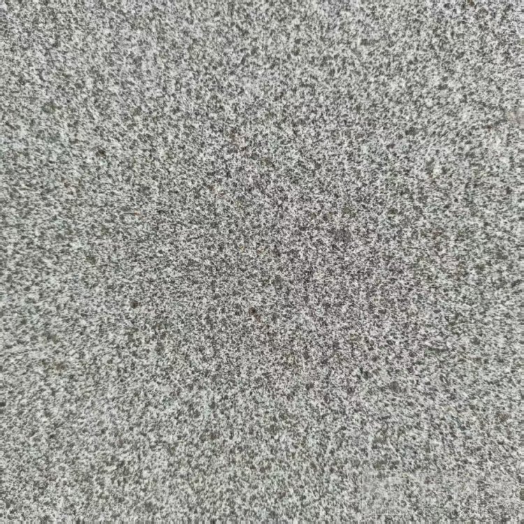 山东芝麻黑/章丘黑