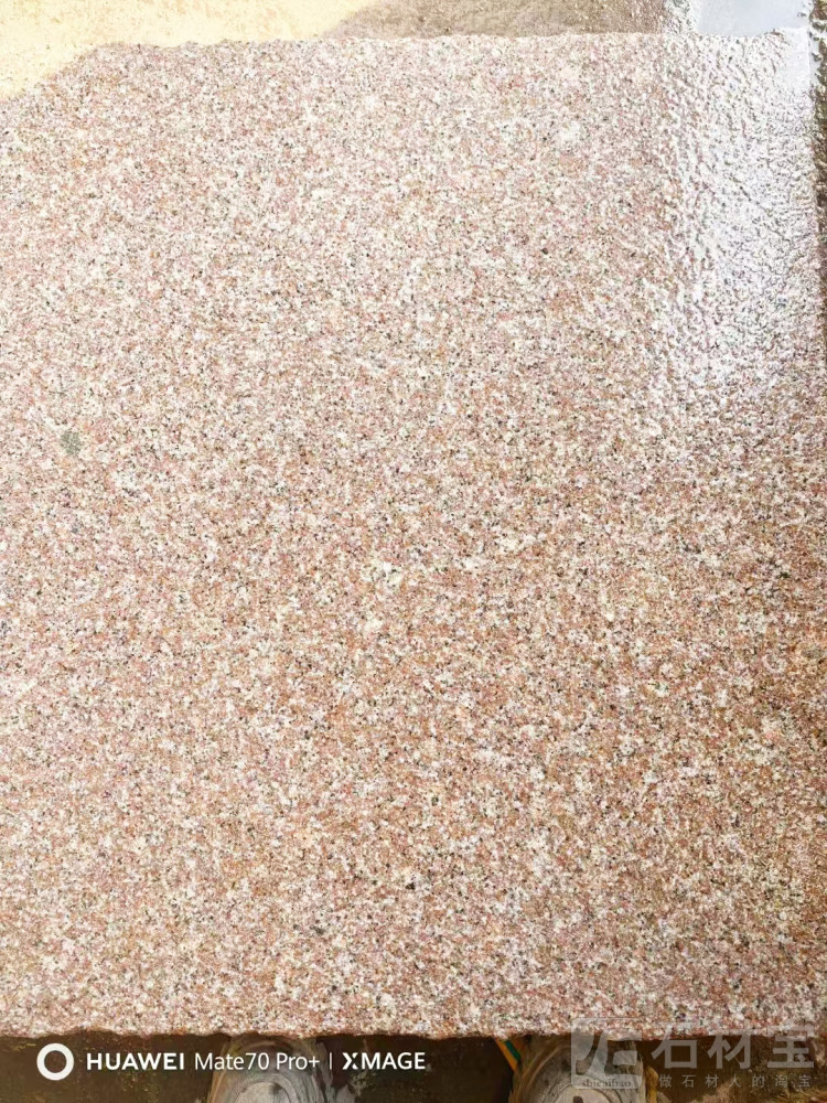 五莲红荔枝面