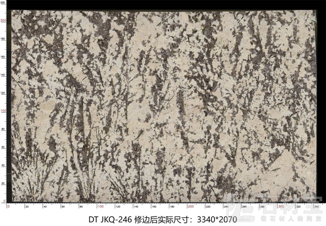 金孔雀 JKQ-246