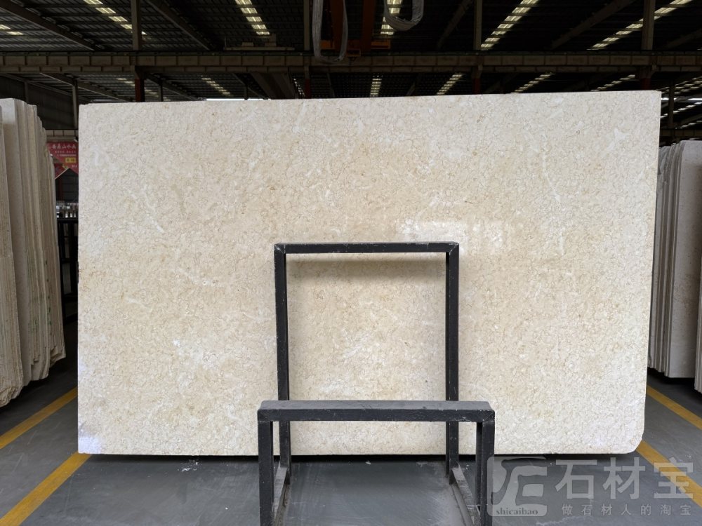 撒哈玛(法国金花)