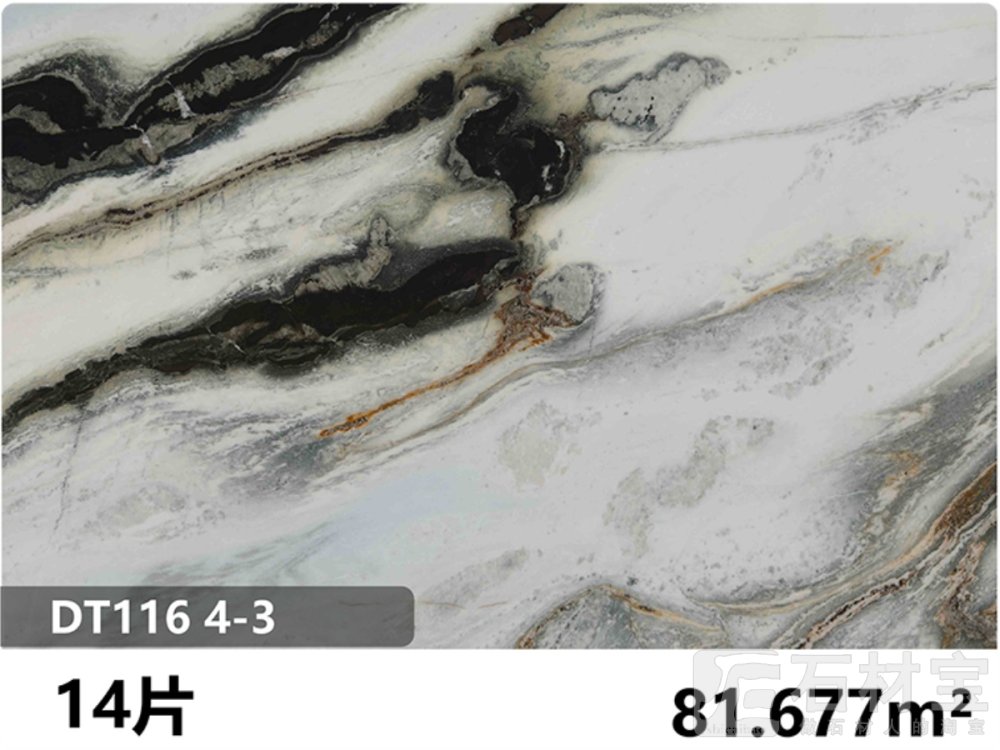 熊猫白 DT116 4-3