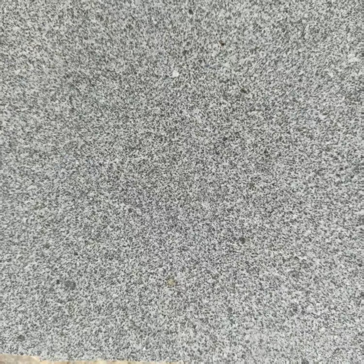 山东芝麻黑/章丘黑