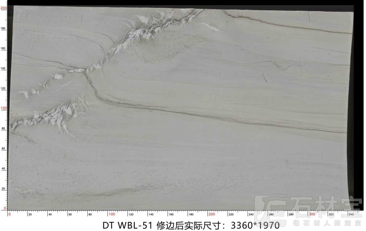 万宝龙 WBL-51