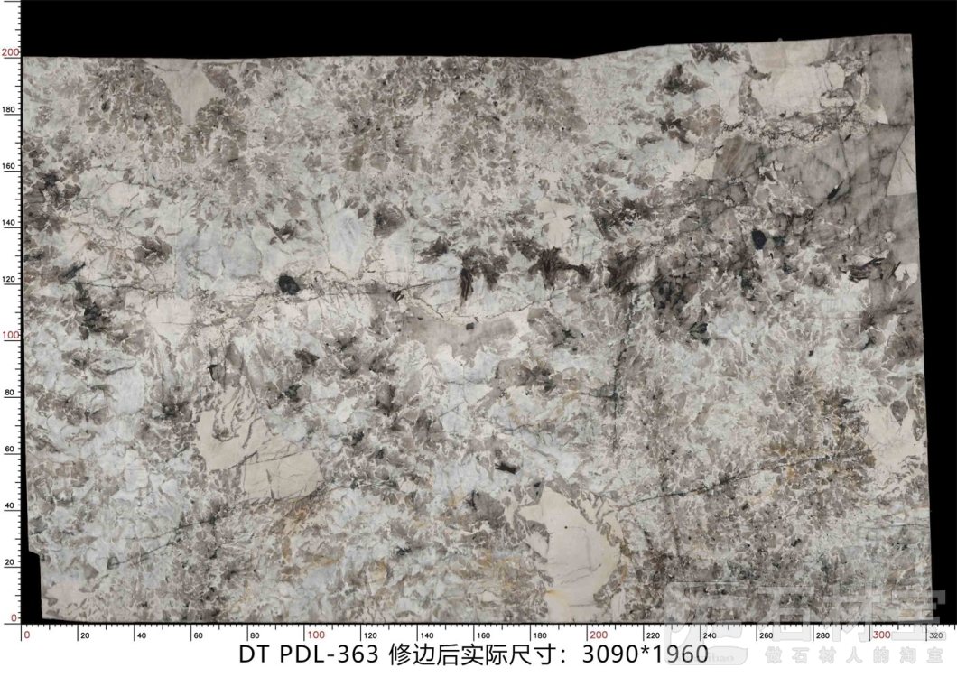 潘多拉 PDL-363