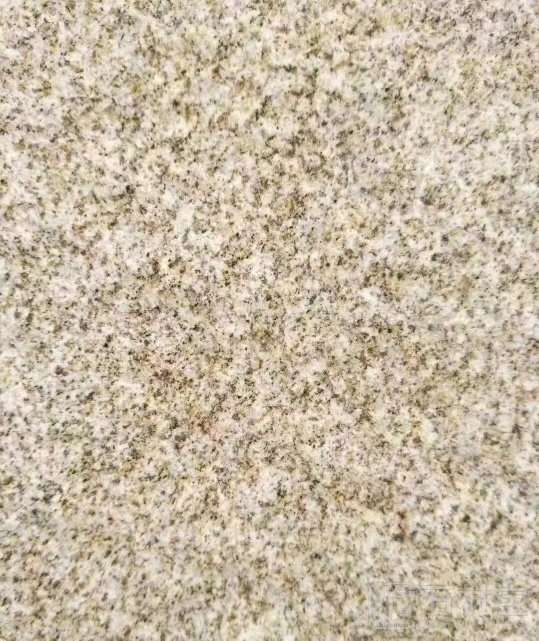 山东黄金麻