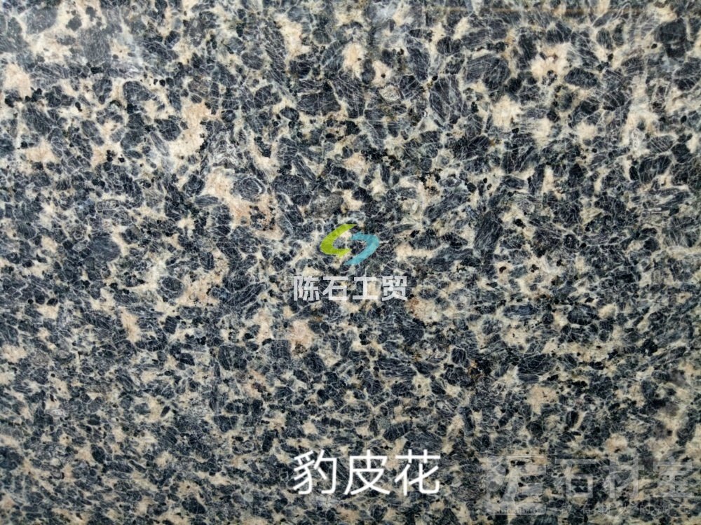 豹皮花