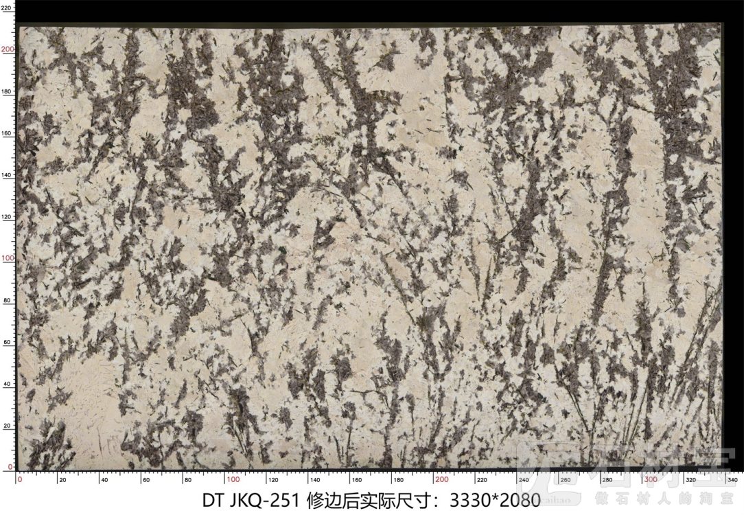 金孔雀 JKQ-251