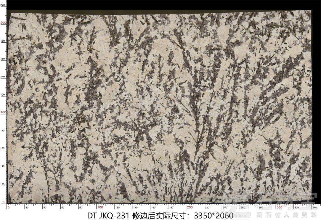 金孔雀 JKQ-231
