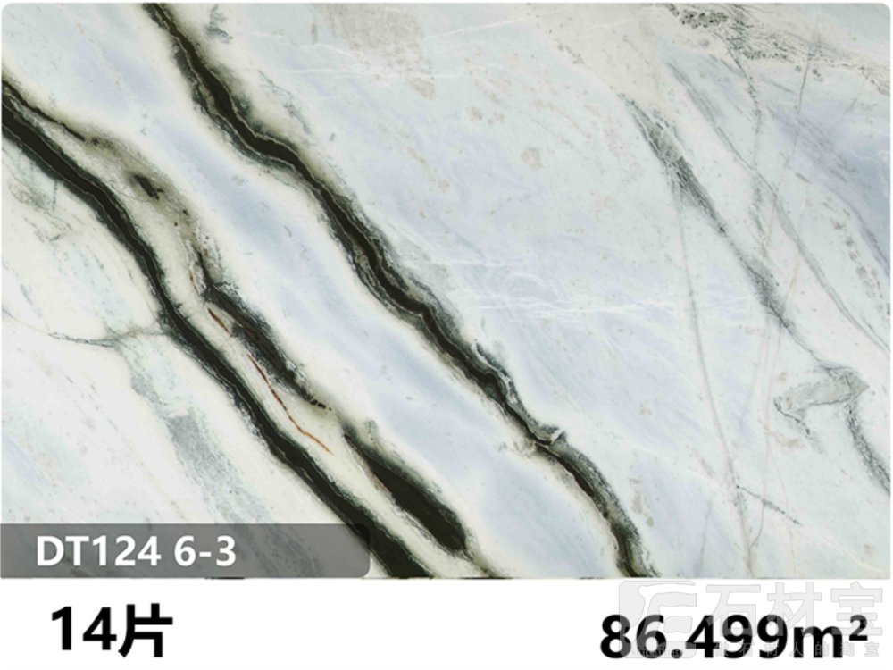 熊猫白 DT124 6-3