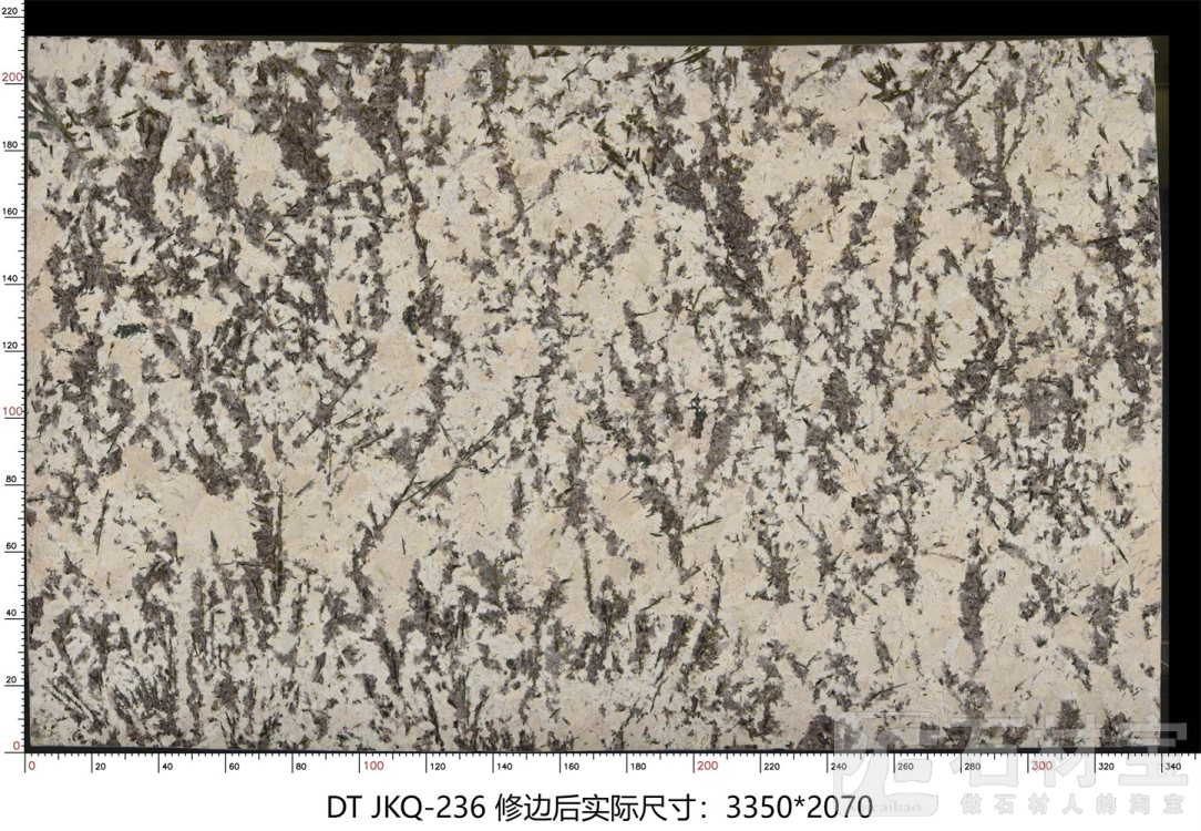 金孔雀 JKQ-236